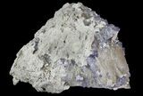 Purple/Gray Fluorite Cluster - Marblehead Quarry Ohio #81197-3